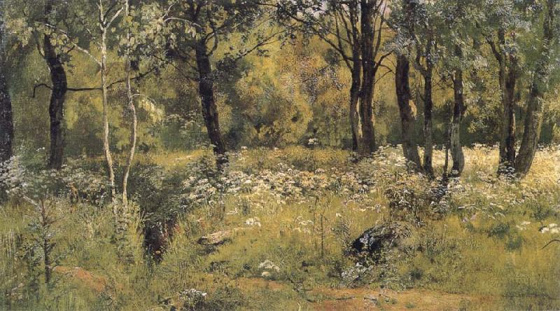 Ivan Shishkin The lawn in the forest Spain oil painting art
